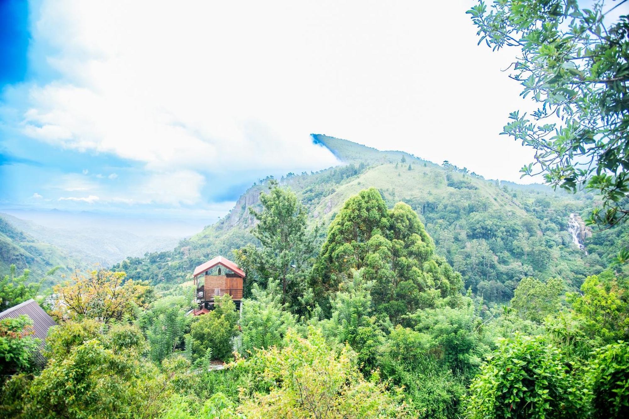 Minthu Homestay Ella Rum bild